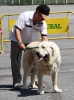 Filename=2461-ring-bis.jpg
Filesize=108KiB
Dimensions=898x1200
Date added=%011 %19, %2011 2461-ring-bis.jpg