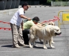 Filename=2463-ring-bis.jpg
Filesize=133KiB
Dimensions=1200x980
Date added=%011 %19, %2011 2463-ring-bis.jpg