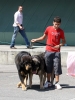 Filename=2479-pair-class.jpg
Filesize=102KiB
Dimensions=907x1200
Date added=%031 %19, %2011 2479-pair-class.jpg