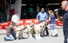 Filename=2489--breeding-group.jpg
Filesize=102KiB
Dimensions=1200x767
Date added=%031 %19, %2011 2489--breeding-group.jpg