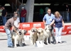 Filename=2490-breeding-group.jpg
Filesize=124KiB
Dimensions=1200x865
Date added=%031 %19, %2011 2490-breeding-group.jpg