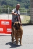 Filename=2439-Clase-campeones-hembra.jpg
Filesize=136KiB
Dimensions=839x1200
Date added=%018 %19, %2011 2439-Clase-campeones-hembra.jpg