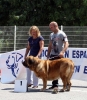 Filename=2442-Clase-campeones-hembra.jpg
Filesize=166KiB
Dimensions=1051x1200
Date added=%018 %19, %2011 2442-Clase-campeones-hembra.jpg