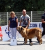 Filename=2444-Clase-campeones-hembra.jpg
Filesize=164KiB
Dimensions=1073x1200
Date added=%018 %19, %2011 2444-Clase-campeones-hembra.jpg