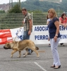 Filename=IMG_2199-cachorro-hembras.jpg
Filesize=183KiB
Dimensions=1150x1200
Date added=%758 %17, %2011 IMG_2199-cachorro-hembras.jpg