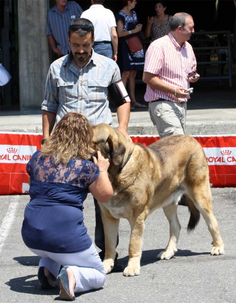 Intermediate Class Males - Pola de Siero 16.07.2011
Keywords: 2011