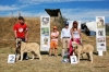 Filename=IMG_3629.JPG
Filesize=641KiB
Dimensions=2048x1365
Date added=%848 %21, %2012 IMG_3629.JPG