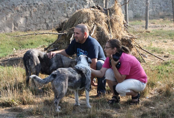 Tsaciana - September 2012
Keywords: puppyspain tsaciana