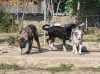 Filename=IMG-5666.jpg
Filesize=172KiB
Dimensions=1200x892
Date added=%779 %05, %2012 IMG-5666.jpg