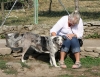Filename=IMG-5669.jpg
Filesize=166KiB
Dimensions=1200x931
Date added=%779 %05, %2012 IMG-5669.jpg