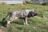 Filename=IMG-5670.jpg
Filesize=223KiB
Dimensions=1200x800
Date added=%779 %05, %2012 IMG-5670.jpg