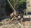 Filename=IMG-5671.jpg
Filesize=175KiB
Dimensions=1200x1092
Date added=%779 %05, %2012 IMG-5671.jpg