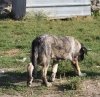 Filename=IMG-5678.jpg
Filesize=183KiB
Dimensions=1200x1172
Date added=%779 %05, %2012 IMG-5678.jpg