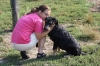 Filename=IMG-5679.jpg
Filesize=159KiB
Dimensions=1200x800
Date added=%779 %05, %2012 IMG-5679.jpg