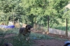 Filename=IMG-5687.jpg
Filesize=215KiB
Dimensions=1200x800
Date added=%779 %05, %2012 IMG-5687.jpg