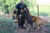 Filename=IMG-5688.jpg
Filesize=133KiB
Dimensions=1200x800
Date added=%779 %05, %2012 IMG-5688.jpg