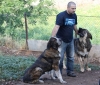 Filename=IMG-5695.jpg
Filesize=146KiB
Dimensions=1200x1030
Date added=%779 %05, %2012 IMG-5695.jpg