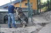 Filename=IMG-5699.jpg
Filesize=123KiB
Dimensions=1200x800
Date added=%779 %05, %2012 IMG-5699.jpg