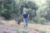 Filename=IMG-5700.jpg
Filesize=129KiB
Dimensions=1200x800
Date added=%779 %05, %2012 IMG-5700.jpg