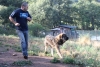 Filename=IMG-5703.jpg
Filesize=132KiB
Dimensions=1200x814
Date added=%779 %05, %2012 IMG-5703.jpg