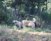 Filename=IMG-5708.jpg
Filesize=192KiB
Dimensions=1200x981
Date added=%779 %05, %2012 IMG-5708.jpg