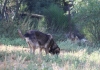 Filename=IMG-5725.jpg
Filesize=124KiB
Dimensions=1200x846
Date added=%779 %05, %2012 IMG-5725.jpg