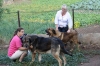 Filename=IMG-5728.jpg
Filesize=123KiB
Dimensions=1200x800
Date added=%779 %05, %2012 IMG-5728.jpg