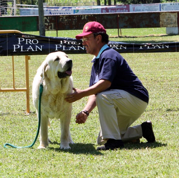 Torquemada de Fuente Mimbre: EXC 3 - Open Class Females - Veguellina de Órbigo 23.07.2011
Keywords: 2011 fuentemimbre