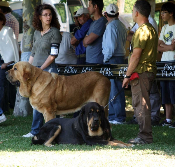 Open Class Males - Veguellina de Órbigo 23.07.2011
Keywords: 2011 tierraorbigo