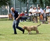 IMG_2816-muy-cachorros-macho.jpg