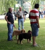 Filename=IMG_2829-muy-cachorros-hembra.jpg
Filesize=189KiB
Dimensions=1087x1200
Date added=%439 %25, %2011 IMG_2829-muy-cachorros-hembra.jpg