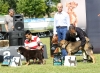 Filename=IMG_2834-ring-muy-cachorros-hembra.jpg
Filesize=144KiB
Dimensions=1200x883
Date added=%439 %25, %2011 IMG_2834-ring-muy-cachorros-hembra.jpg
