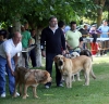 Filename=IMG_2846-cachorros-macho.jpg
Filesize=153KiB
Dimensions=1200x1159
Date added=%439 %25, %2011 IMG_2846-cachorros-macho.jpg