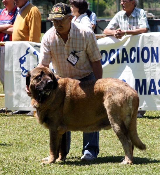 Galan de Autocan: EXC 3 - Intermediate Class Males - Veguellina de Órbigo 23.07.2011
Keywords: 2011 autocan