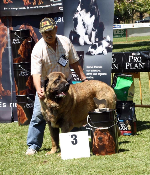 Galan de Autocan: EXC 3 - Intermediate Class Males - Veguellina de Órbigo 23.07.2011
Keywords: 2011 autocan