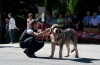 Filename=Brinko_de_Filandon.jpg
Filesize=71KiB
Dimensions=960x629
Date added=%609 %12, %2013 Brinko_de_Filandon.jpg