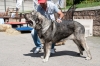 Filename=Lola_de_Villapedre.jpg
Filesize=154KiB
Dimensions=960x638
Date added=%609 %12, %2013 Lola_de_Villapedre.jpg
