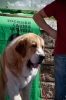 Filename=aquiles_de_la_majada.jpg
Filesize=63KiB
Dimensions=638x960
Date added=%609 %12, %2013 aquiles_de_la_majada.jpg
