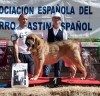 Filename=briseldefilabdon.jpg
Filesize=174KiB
Dimensions=956x924
Date added=%609 %12, %2013 briseldefilabdon.jpg