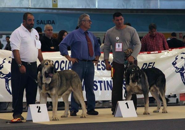 Intermediate Class Males - Monográfica AEPME Alicante 05.12.2009
Keywords: 2009