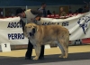 Filename=mono09-champion_males-titan.jpg
Filesize=70KiB
Dimensions=782x567
Date added=%968 %17, %2009 mono09-champion_males-titan.jpg