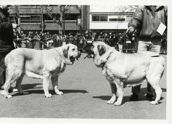 Palencia 1991
Keywords: 1991