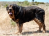 Filename=Pancho1.jpg
Filesize=123KiB
Dimensions=1076x794
Date added=%004 %22, %2011 Pancho1.jpg