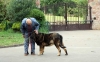 Filename=IMG2120.jpg
Filesize=106KiB
Dimensions=1200x746
Date added=%478 %18, %2011 IMG2120.jpg
