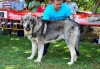 Filename=Sardon-(2).jpg
Filesize=158KiB
Dimensions=1094x765
Date added=%791 %03, %2012 Sardon-(2).jpg