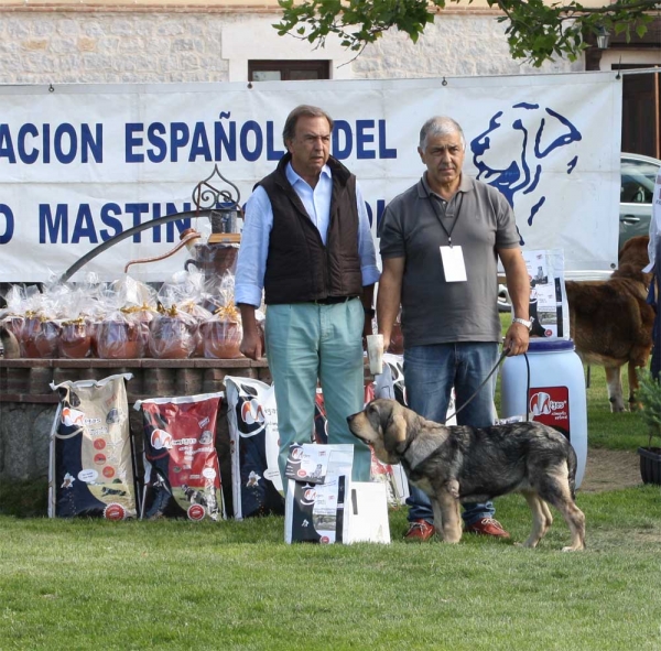 Ávila, Spain 21.09.2013
Trefwoorden: 2013