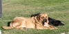 Filename=IMG-6182.jpg
Filesize=197KiB
Dimensions=1500x735
Date added=%829 %25, %2013 IMG-6182.jpg