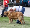 Filename=IMG-6184.jpg
Filesize=93KiB
Dimensions=1000x937
Date added=%829 %25, %2013 IMG-6184.jpg