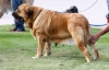 Filename=IMG-6185.jpg
Filesize=63KiB
Dimensions=1000x649
Date added=%829 %25, %2013 IMG-6185.jpg