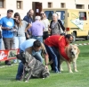 Filename=IMG-6191.jpg
Filesize=97KiB
Dimensions=1000x972
Date added=%829 %25, %2013 IMG-6191.jpg